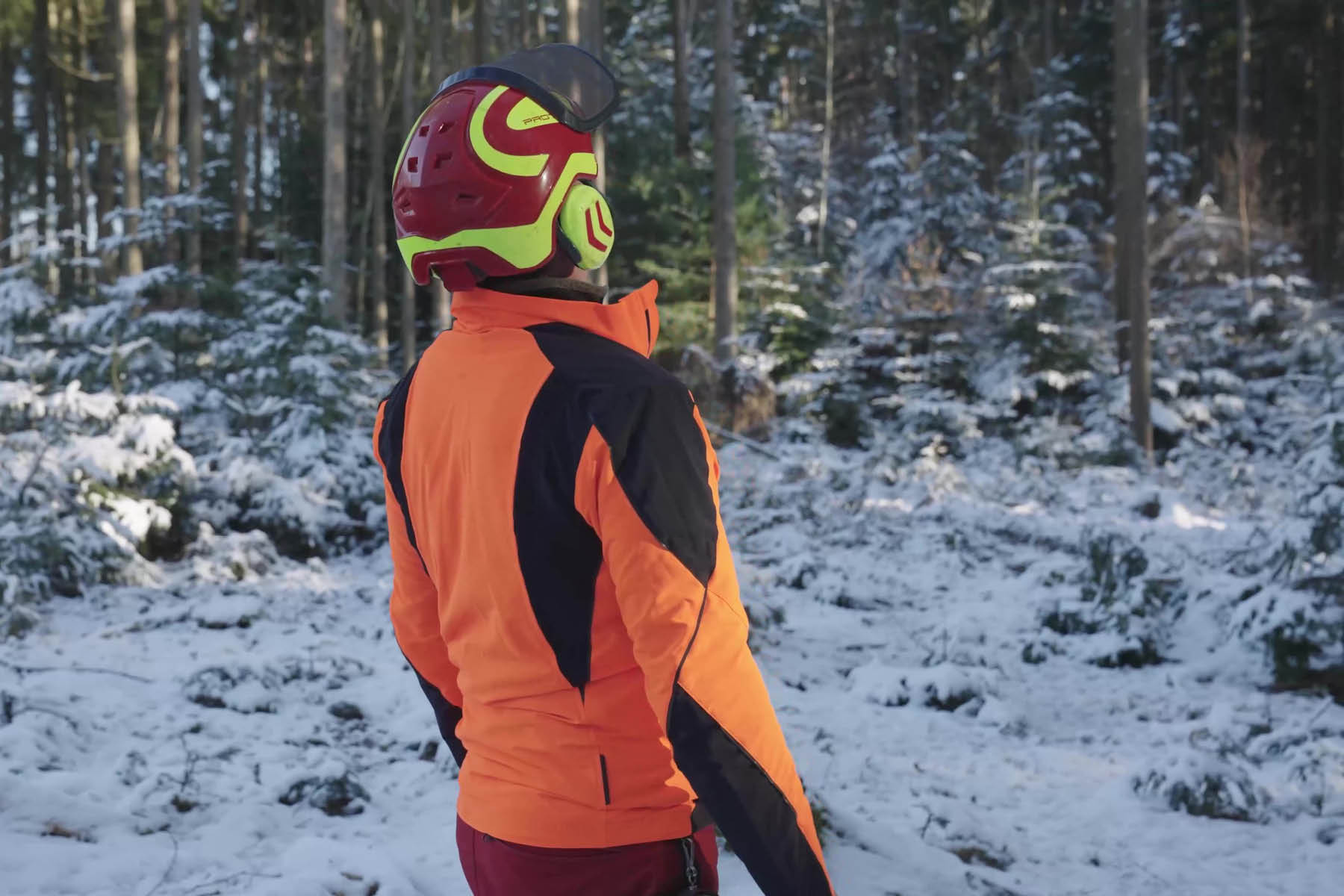 Walter Brunthaler, Geschäftsführer der Brunthaler Naturhausmanufaktur steht in voller Montur mit Helm mit dem Rücken zur Kamera im beschneiten Wald. Es ist Winter und er ist dabei einen Baum zu fällen. © Brunthaler Naturhausmanufaktur