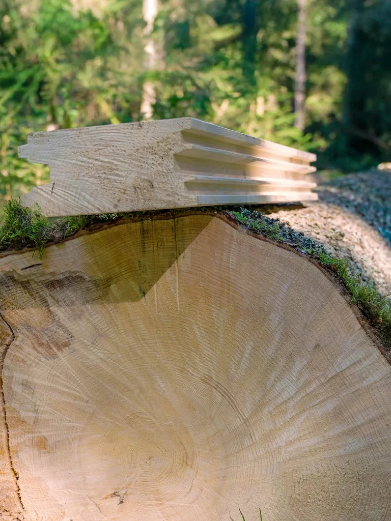 Der formgeschnittene naturmassive Balken MONOBLOCK der Brunthaler Naturhausmanufaktur liegt auf einer gefällten großen Fichte in einem grünen Waldstück. Sonnenlicht erhellt Teile der Szenerie. © Brunthaler Naturhausmanufaktur